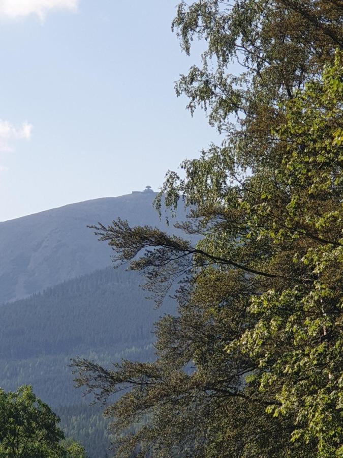 Pokoje Karkonosze Przesieka Buitenkant foto
