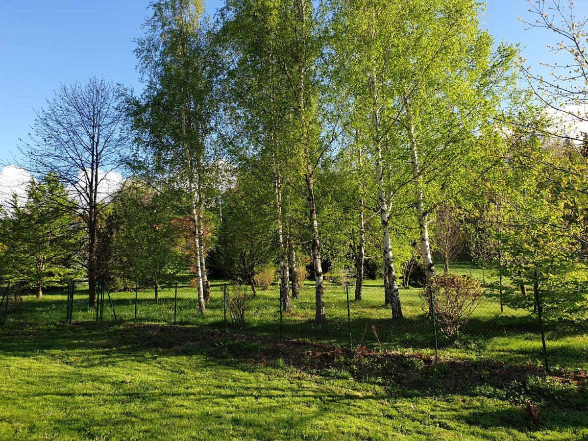 Pokoje Karkonosze Przesieka Buitenkant foto